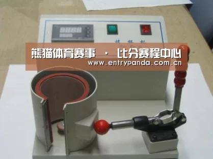熊猫体育案例展示六