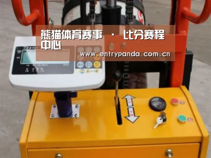 熊猫体育案例展示三(图1)