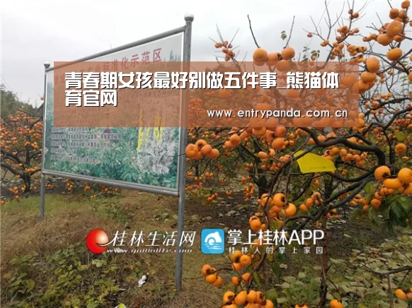 熊猫体育app