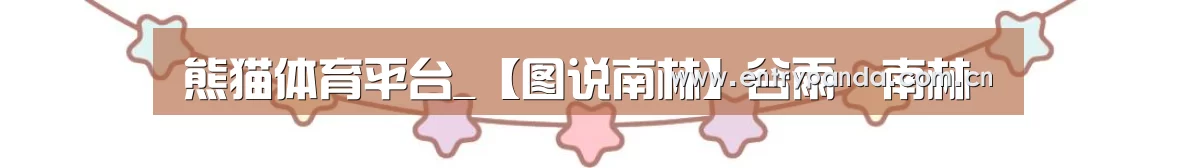 熊猫体育官网