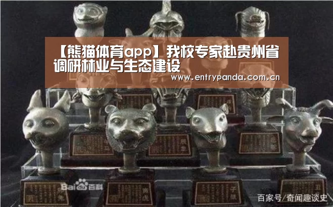 熊猫体育app
