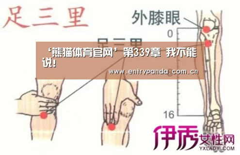 熊猫体育app