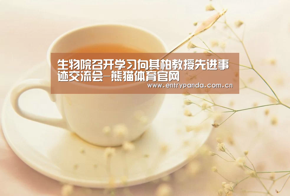 熊猫体育