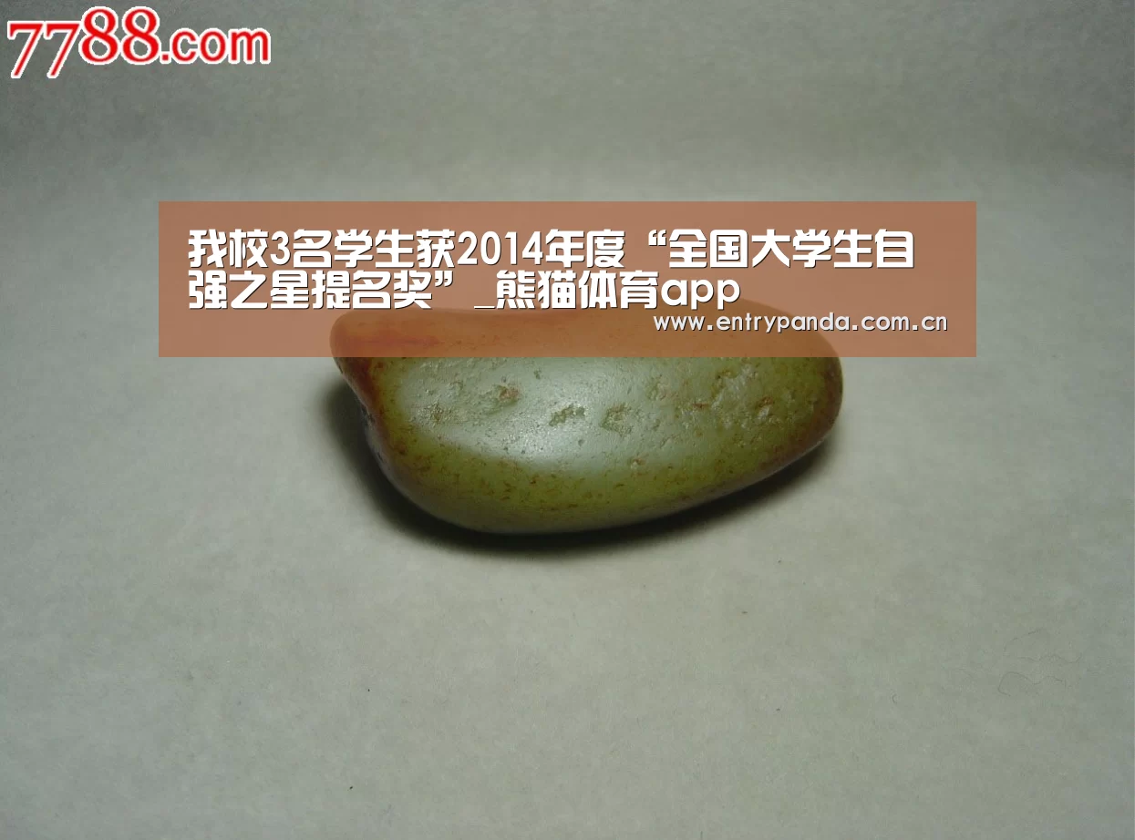 熊猫体育官网