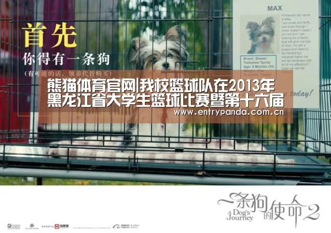 熊猫体育