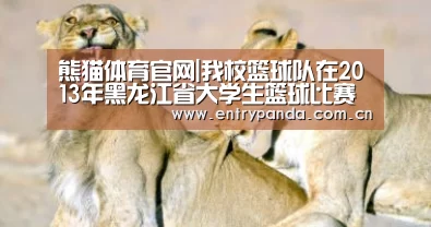 熊猫体育官网