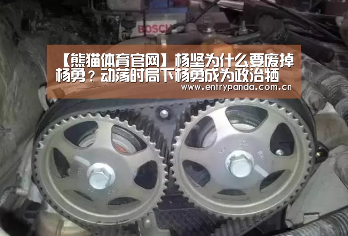 【熊猫体育官网】杨坚为什么要废掉杨勇?动荡时局下杨勇成为政治牺牲品!(图2) 熊猫体育app