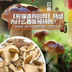 【熊猫体育官网】杨坚为什么要废掉杨勇?动荡时局下杨勇成为政治牺牲品!(图1) 熊猫体育官网