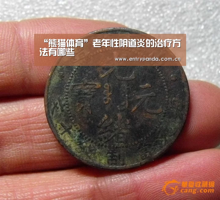 熊猫体育官网