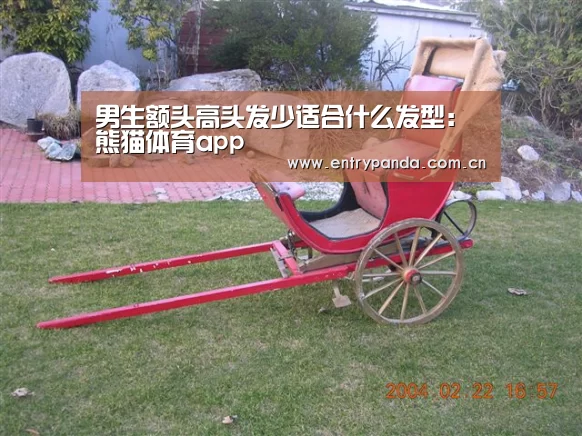男生额头高头发少适合什么发型:熊猫体育app(图2) 熊猫体育平台