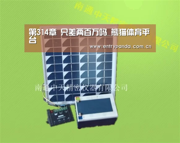 第314章 只差两百万吗_熊猫体育平台(图1) 熊猫体育app