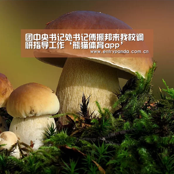 团中央书记处书记傅振邦来我校调研指导工作‘熊猫体育app’(图3) 熊猫体育app