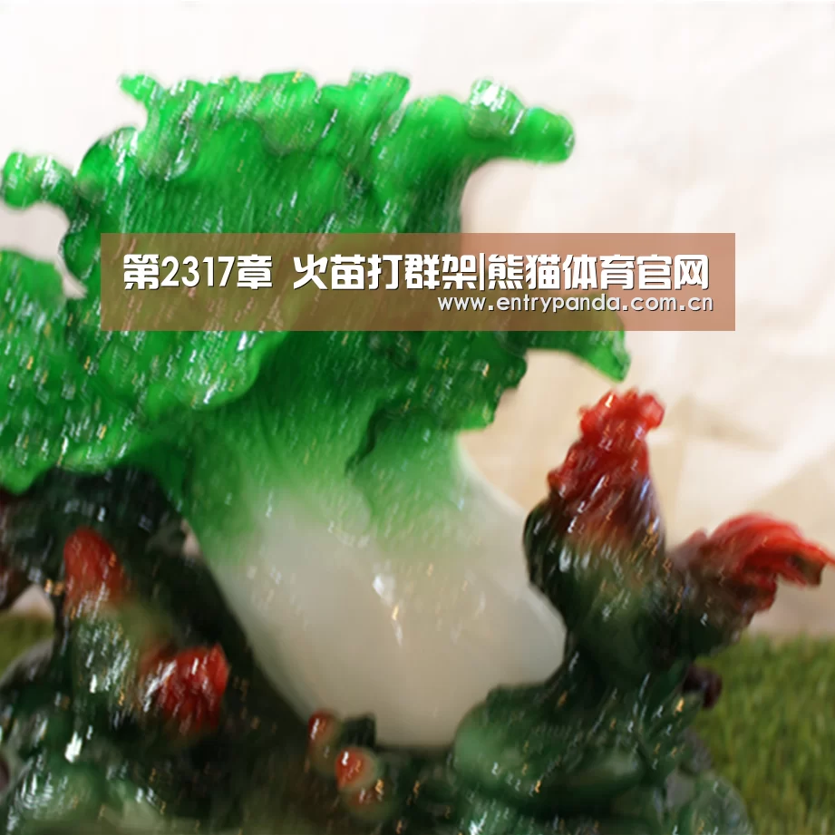 第2317章 火苗打群架|熊猫体育官网(图1) 熊猫体育官网