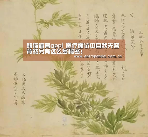 熊猫体育