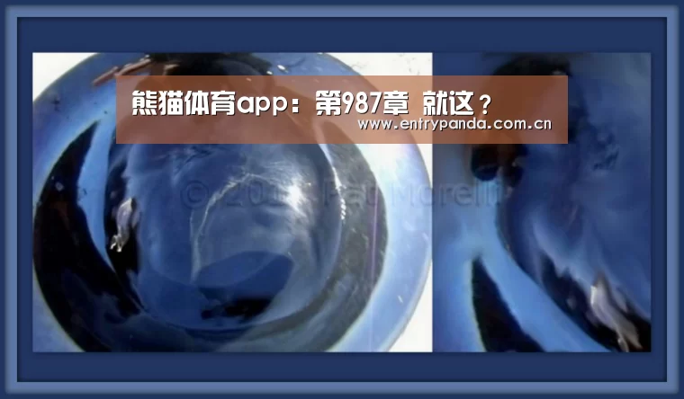 熊猫体育app:第987章 就这?(图3) 熊猫体育